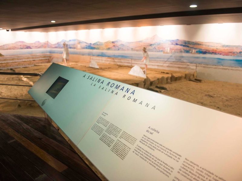 Interiores Salinae_es_md Interiores Salinae_es_md